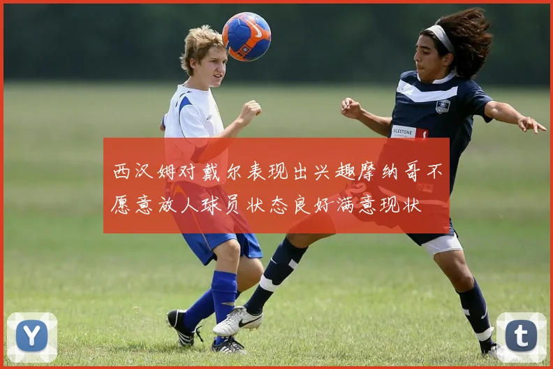 西汉姆对戴尔表现出兴趣摩纳哥不愿意放人球员状态良好满意现状