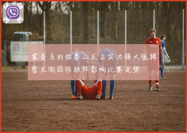蒙哥马利称泰山反击实力强大张稀哲王刚因伤缺阵影响比赛走势